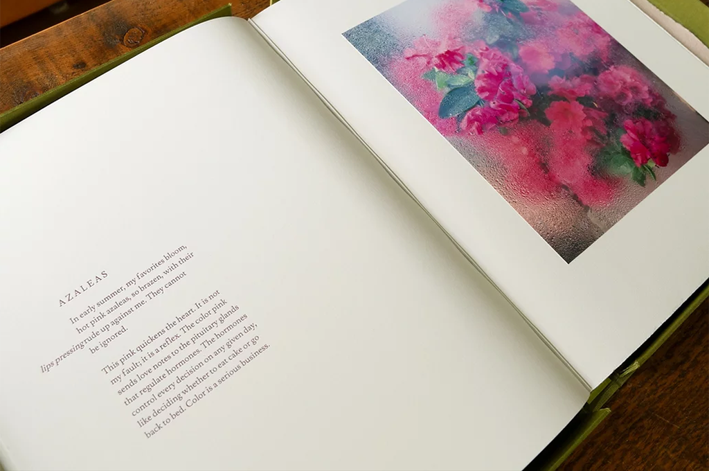 Books — Cig Harvey